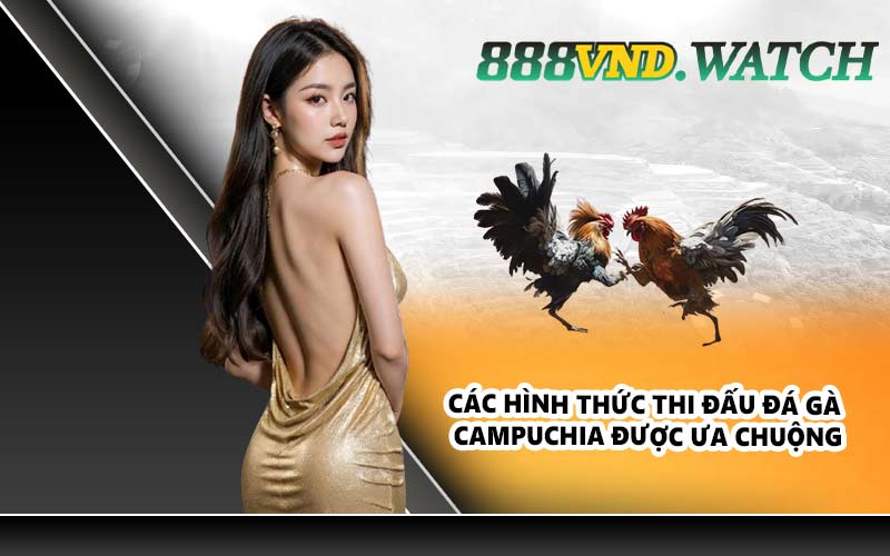 Các hình thức thi đấu đá gà Campuchia được ưa chuộng