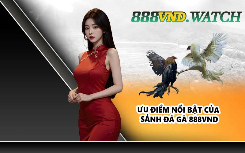 Ưu điểm nổi bật của sảnh đá gà 888VND